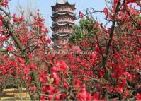 Tanhua Temple Beautiful Scenery Kunming 