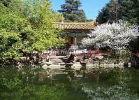 Tanhua Temple Landscape Kunming 