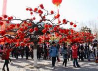 Temple Fair in the Temple of Earth Beijing China