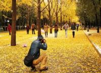 Beijing Temple of Earth in Fall