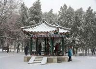 Beijing Temple of Earth in Snow