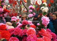 Temple Fair in Ditan Park Beijing China