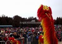 Lion Dance during Temple Fair at Beijing Temple of Earth