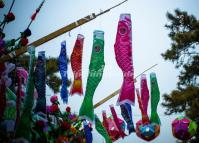 Colorful Hanging Fishes at the Temple of Earth's Chinese New Year Festival