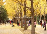 Temple of Earth in Autumn