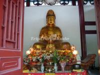 Temple of Six Banyan Trees Figure of Mercy Buddha