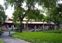 Temple of Six Banyan Trees Landscape 