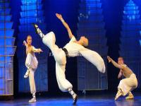 Beijing Shaolin Kung Fu Show