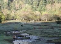 Three Parallel Rivers of Yunnan Protected Areas Autumn 