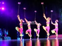 Beijing Acrobatic Troupe 