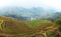 Charming Rice Terrace at Tiantou Village Longsheng 