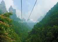 Tianzi Mountain Cabel Car