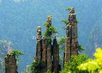 Zhangjiajie Tianzi Mountain 