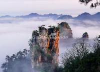 Tianzi Mountains Wallpaper