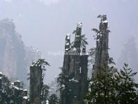 Tianzi Mountain in Snow