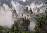 Tianzi Mountains, Zhangjiajie, China