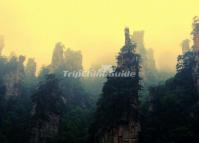 Shengtang Gulf in Tianzi Mountain Zhangjiajie