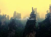 Shengtang Gulf in Tianzi Mountain Zhangjiajie