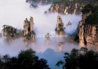 Tianzi Mountain Zhangjiajie 