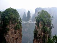 Tianzi Mountain 