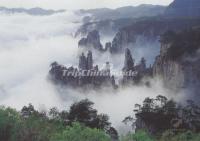 Mist Over Tianzi Mountains, China