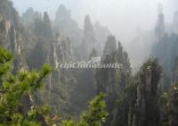 Tianzi Mountains China