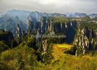 Tianzi Mountain Scenic Area 