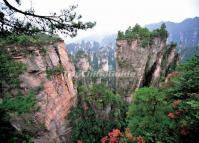 Tianzi Mountains in China