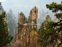 Tianzi Mountain 