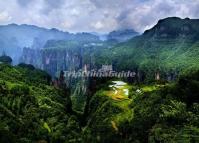 Tianzi Mountain Scenic Spot 