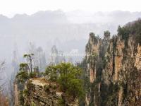 Tianzi Mountain 