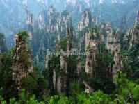 The Sand Stone Peak in Tianzi Mountain 