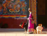 Tibetan Ethnic Girl