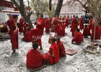 Tibetan Buddhist Lamas