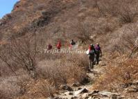 Tiger Leaping Gorge Hiking China 