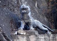 Tiger Leaping Gorge Lifelike Tiger Sculpture Lijiang 