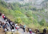 Tiger Mouth Rice Terraces Photographing