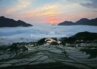 Sunset and Mist Over Tiger Mouth Rice Terraces