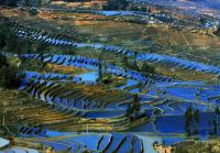 Tiger Mouth Rice Terraces