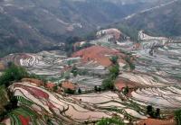 Laohuzui Rice Terraces