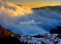 Beautiful Mist Over Tiger Mouth Rice Terraces