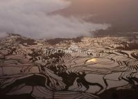 Tiger Mouth Rice Terraces Yuanyang County 