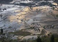 Laohuzui Rice Terraces China 