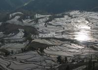 Flooded Laohu Zui Rice Terraces Sunset