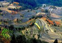 Abstract Pattern of Terraced Rice Fields at Laohuzui in Yuanyang China