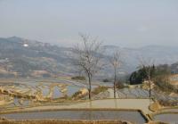 Laohuzui Rice Terraces