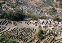 Beautiful Tiger Mouth Rice Terraces