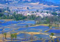 The Blue Terraced Rice Fileds at Laohuzui