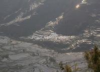 Yuanyang Tiger Mouth Rice Terraces