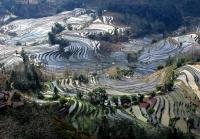 Tiger Mouth Rice Terraces Yuanyang 